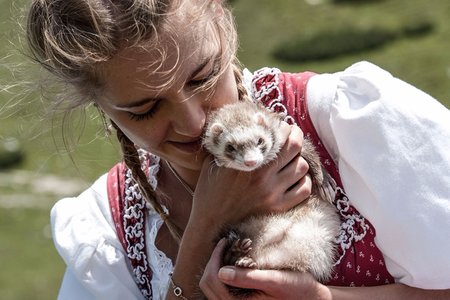 Aqua Bad Cortina - Estate