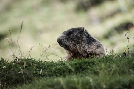 Aqua Bad Cortina - Estate