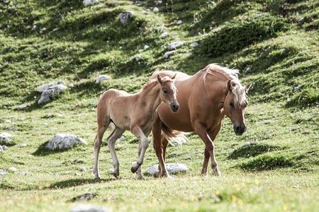 Aqua Bad Cortina - Estate