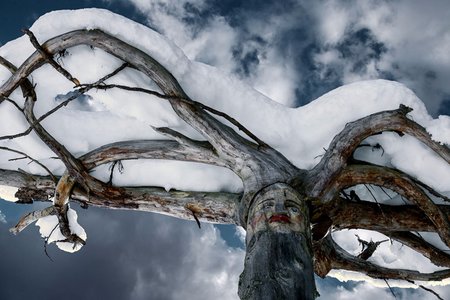 Aqua Bad Cortina - Inverno