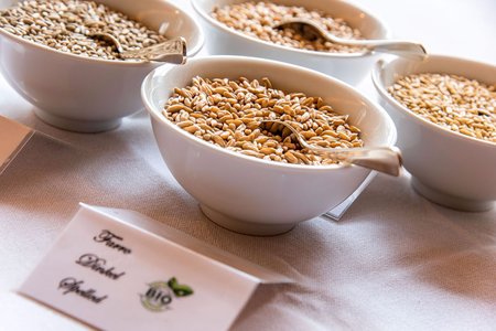 Aqua Bad Cortina - Breakfast