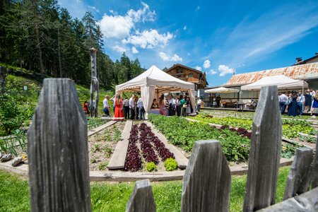 Aqua Bad Cortina - Sposarsi